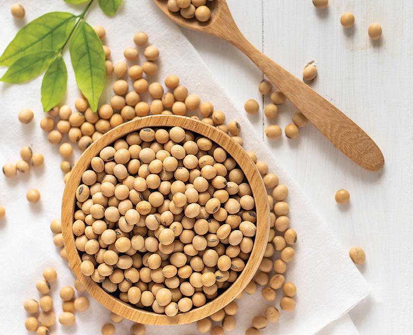 महिलाओं के लिए जरूरी आहार सोयाबीन